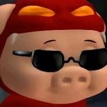 kingjh的头像-棉花糖会员站