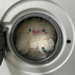 sharpery的头像-棉花糖会员站