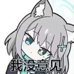 sansun796的头像-棉花糖会员站