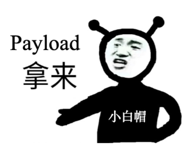 飞翔的hack的头像-棉花糖会员站