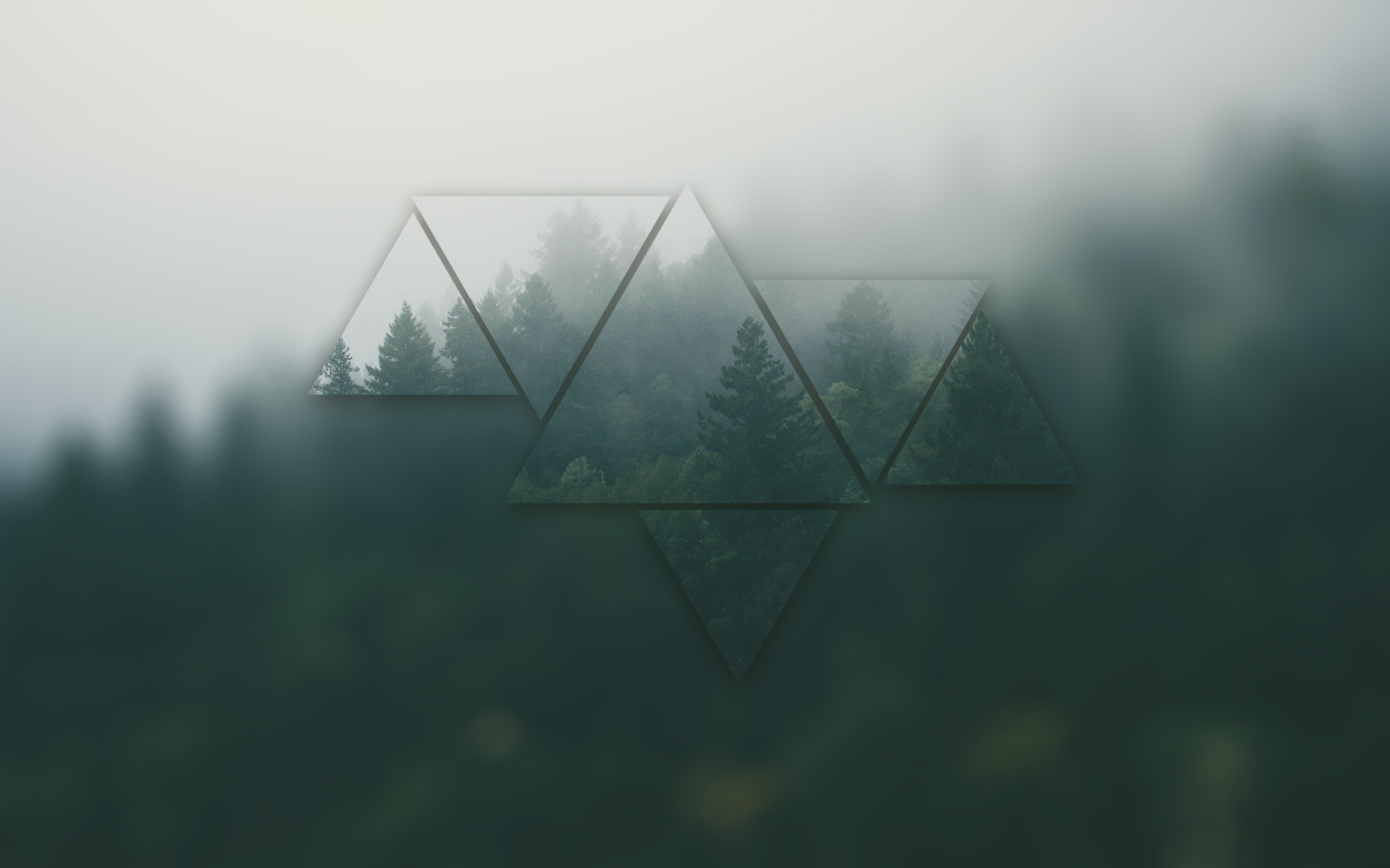 Web新手挖不倒漏洞怎么办？-棉花糖会员站