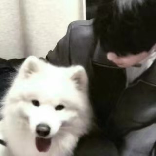 蟹Echo-棉花糖网络安全资源站