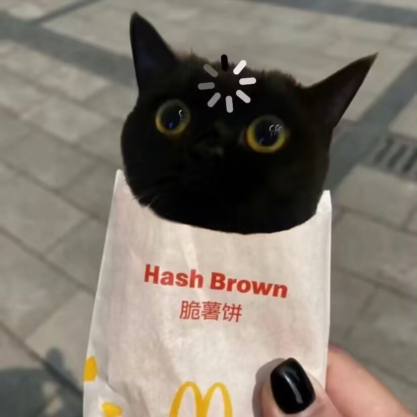 kariko的头像-棉花糖会员站