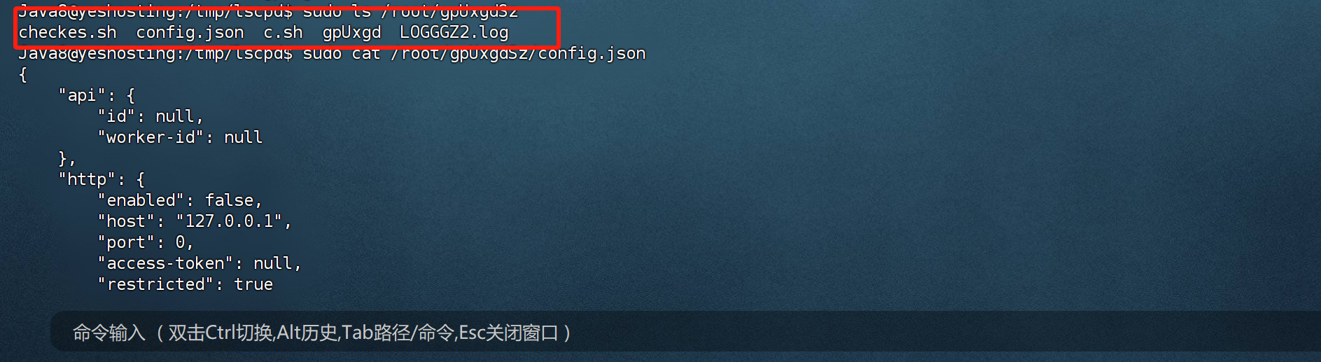 d2b5ca33bd20241224144116