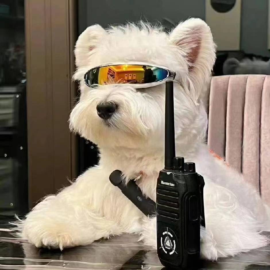 M00n_L33的头像-棉花糖会员站