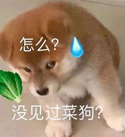 31ebc4370120250305173853