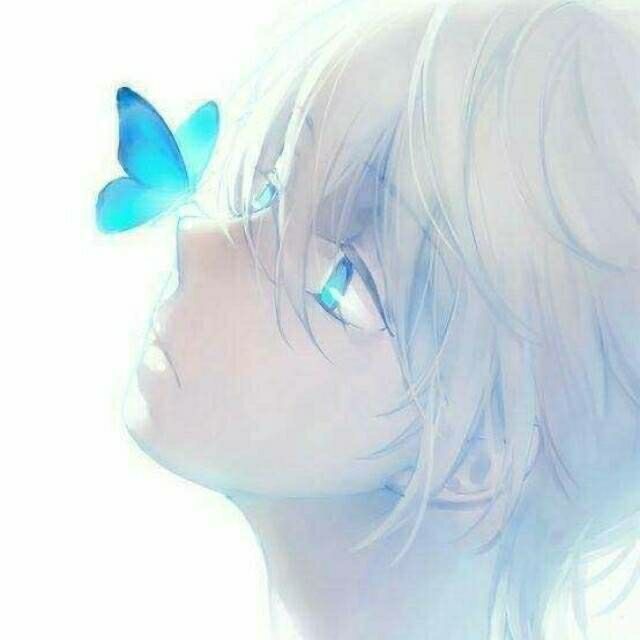 Rowen的头像-棉花糖会员站