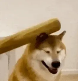 a1686771321的头像-棉花糖会员站