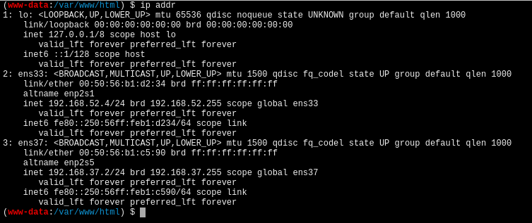 d2b5ca33bd20251109152858