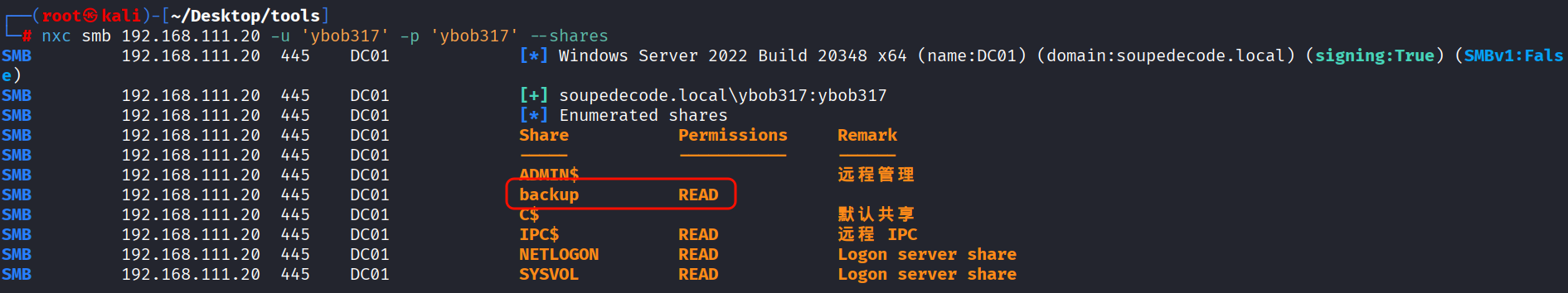 d2b5ca33bd20251204180726