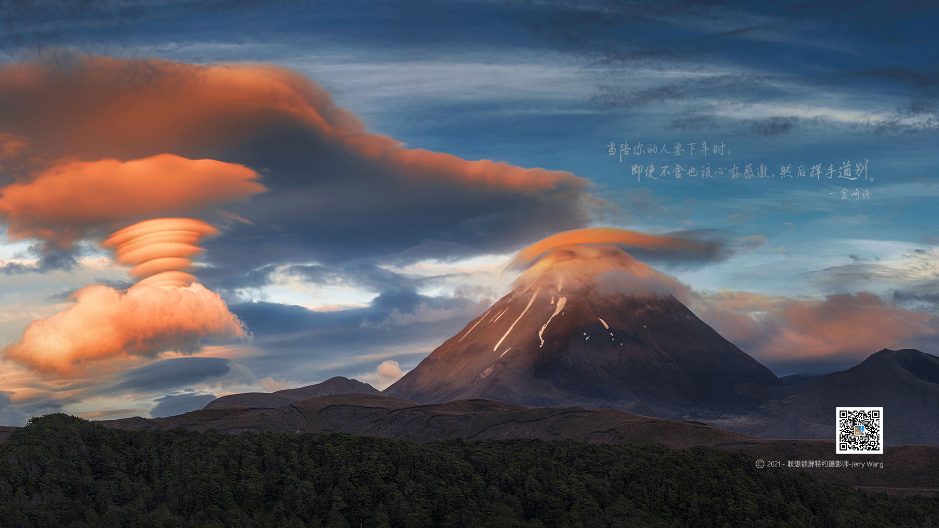 菜菜子的头像-棉花糖会员站