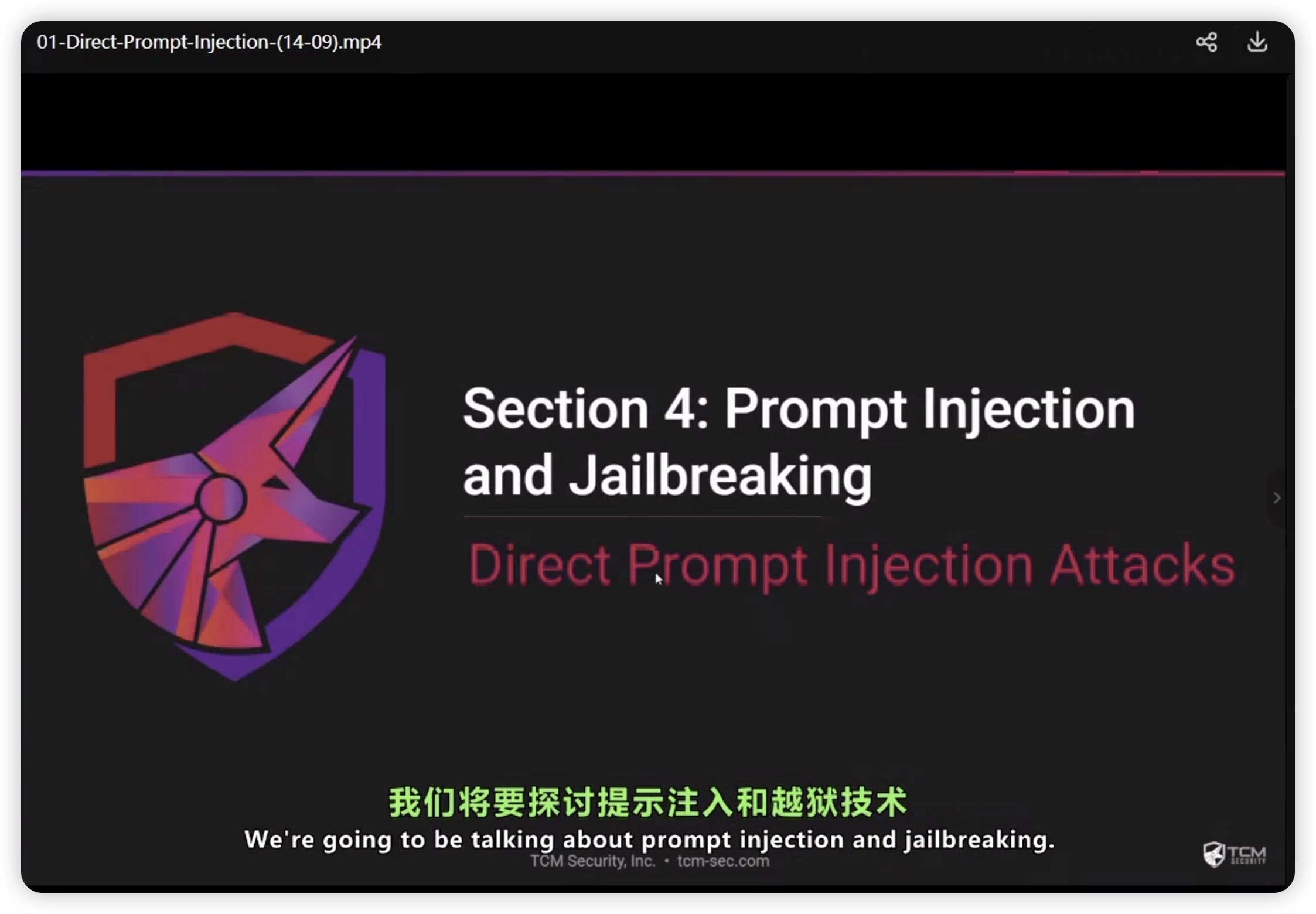 TCM Security – AI Hacking 101 中英双语字幕 人工智能黑客攻防入门-棉花糖会员站