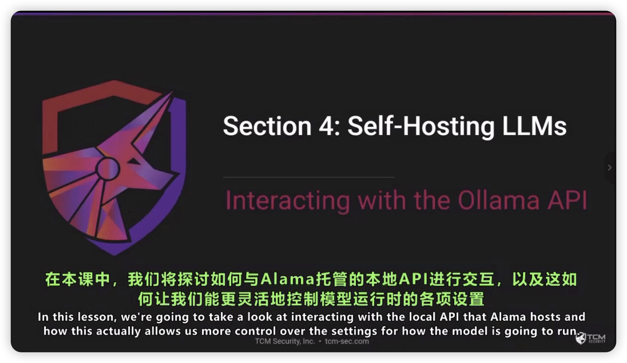 TCM Security – AI 100 AI红队基础知识-棉花糖会员站